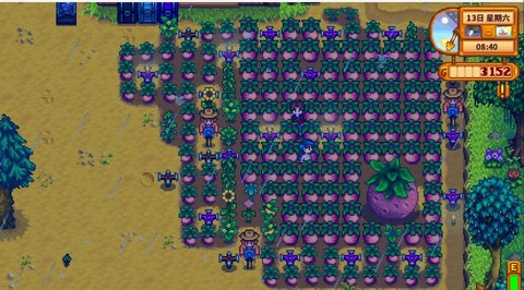 星露谷物语甜瓜怎么收[图1]