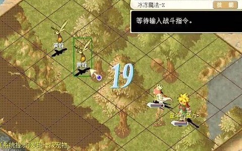 魔力宝贝黄蜂加什么[图2]