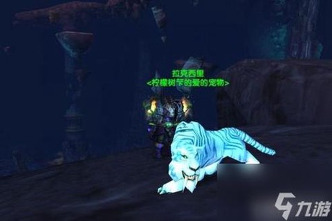 魔兽世界宠物怎么攻击[图2]