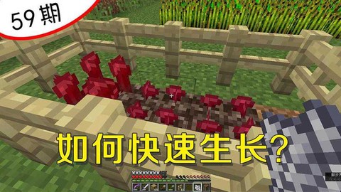 我的世界地狱庞怎么种