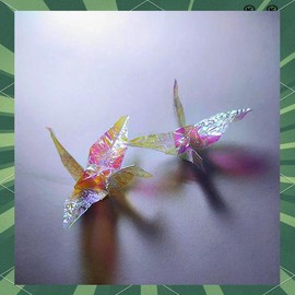 qq炫舞千纸鹤怎么用[图1]