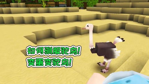 迷你世界怎么上鸵鸟[图2]